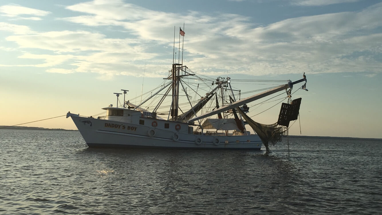 Nashville Street Art moral Acustic Guitar | FlyCheapAlways